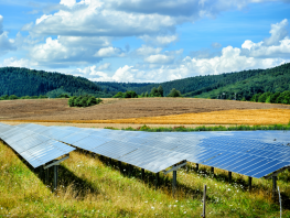 Небывалое развитие зеленой энергетики в Украине